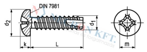 Phillips cross recessed pan head thread cutting screws type 1 1016