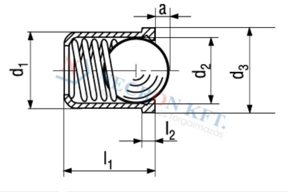 Spring plungers, smooth surface, with collar, Sleeve 13376