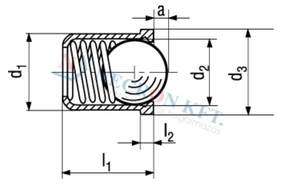 Spring plungers, smooth surface, with collar and inox ball 13379