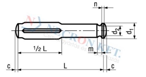 Grooved pins type C, half length grooved with gorge 1385