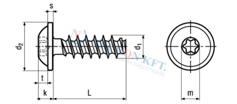 DELTA PT® round washer head screws with pressed washer, with hexalobular socket Torx plus® / Autosert® 20165