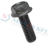 Hex head locking screws 2797