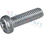 Phillips cheese head machine screws form H 2845