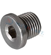 Hex socket screw plugs 5804