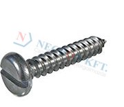 Slotted pan head tapping screws with cone end type C 692