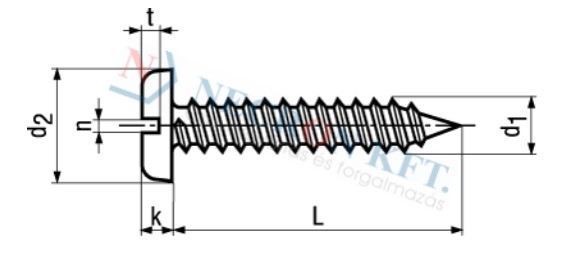 Slotted pan head tapping screws with cone end type C 692