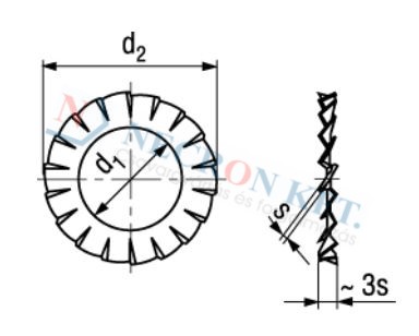 Serrated lock washers type A, external serrations 781