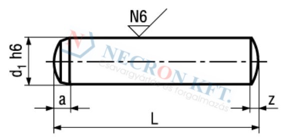 Precision dowel pins h6 858