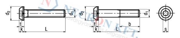 Hexagon socket button head cap screws 8699