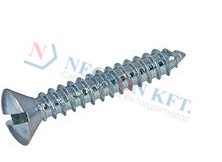 Slotted oval countersunk head tapping screws with cone end type C 991