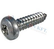 Hexalobular 6 Lobe socket pan head tapping screws with cone end type C 9995