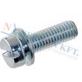 Screw and washer assemblies