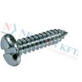 Slotted tapping screws